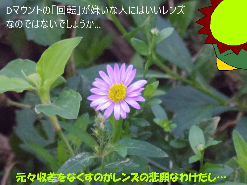 カメラ河童のシネレンズ図鑑12-CANON LENS C-8 13mm F1.8 改訂-(愛す