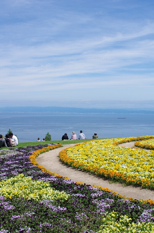 淡路花さじき 瀬戸内を望む絶景の花畑 Pentax Heaven