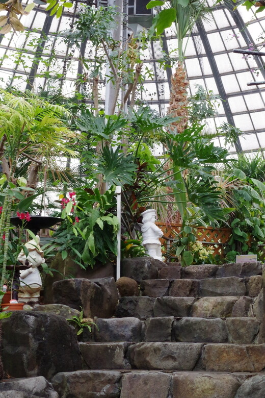 姫路手柄山温室植物園 Pentax Heaven