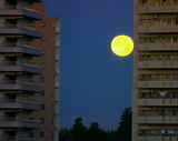 bd51d253.jpg