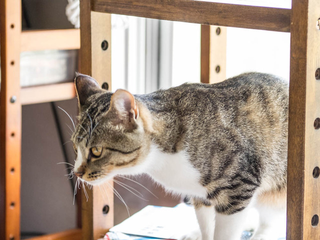 ���ͤ���09