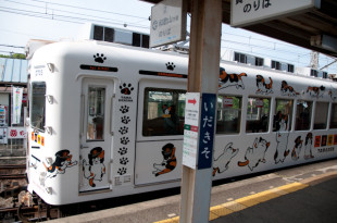 ��������5