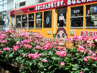 ���Ź�����7