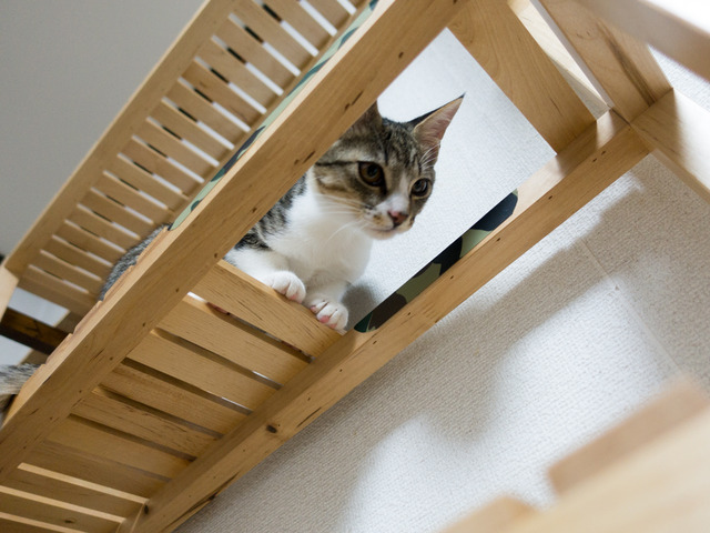 ���ͤ���07