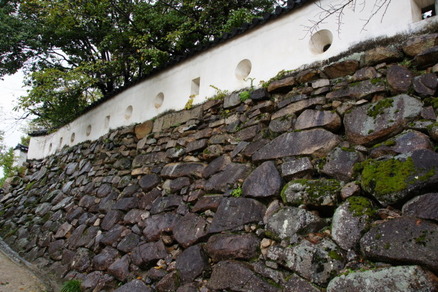 shiro3
