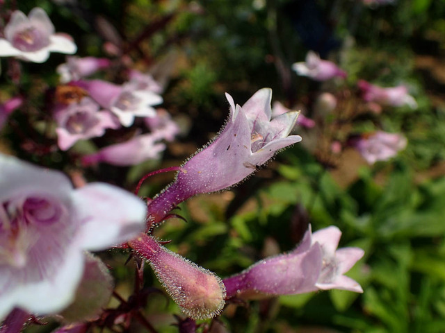 �͎ߎݎ��Îӎݎ��ގ����؎�3