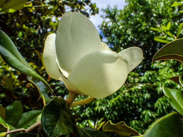 ��������ܥ�3