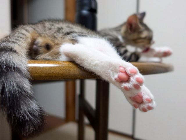 ���ͤ���3