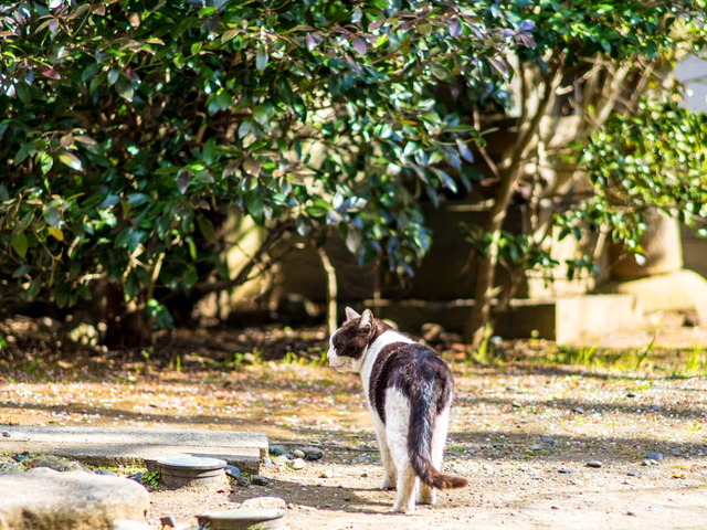 ������14