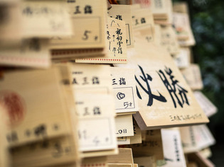 �������11