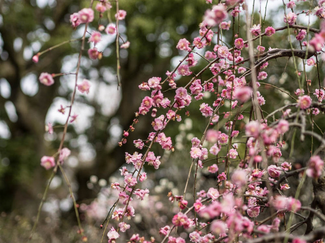 �������13