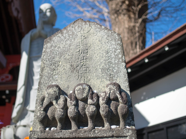 �����11