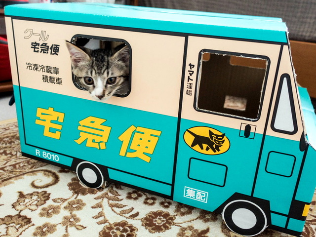 ��ǭ03