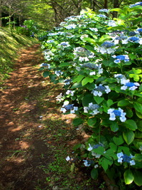 �����ގ���1