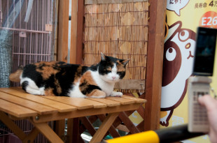 ��������9