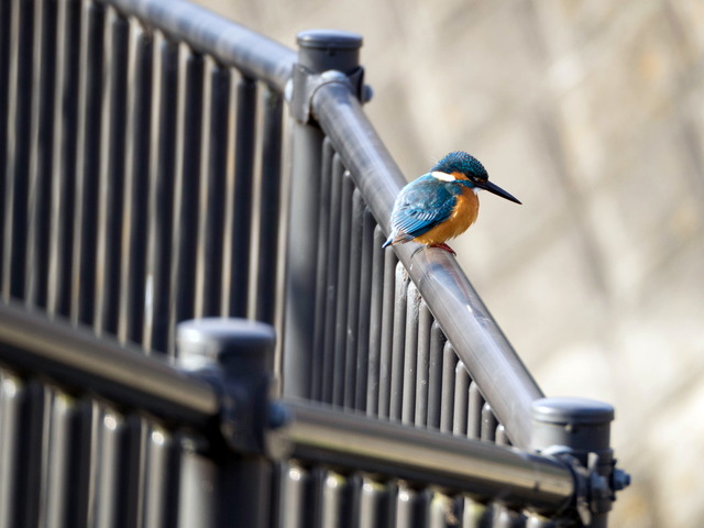 ���܎���27