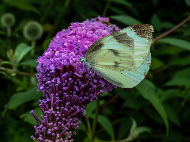 �ӎݎ��ێ�����1