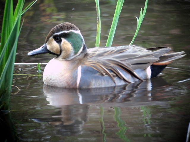 �ȥ⥨����6