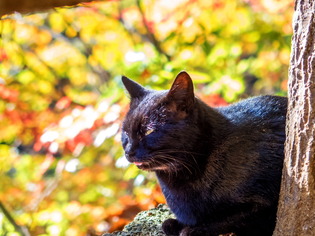 ������14