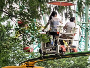 ����ưʪ����10