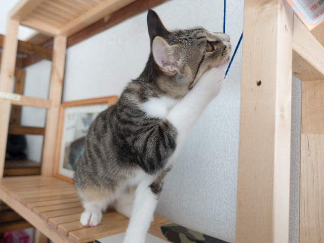 ���ͤ���07