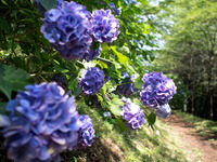 �����ގ���2