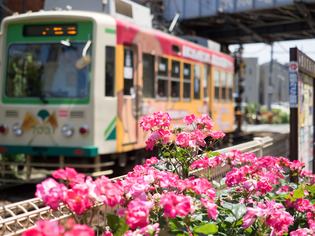 ���Ź�����6