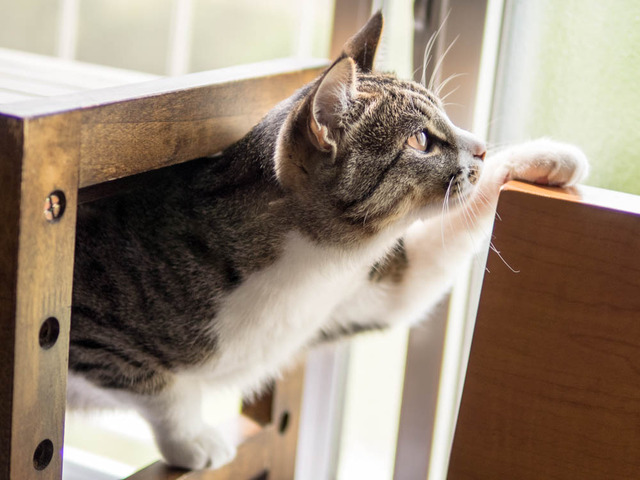 ���ͤ���03