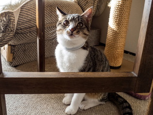 ���ͤ���13