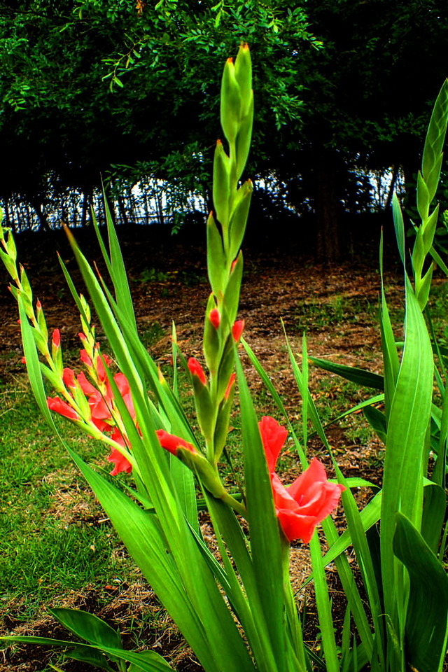 ���ގ׎��ގ��׎�1