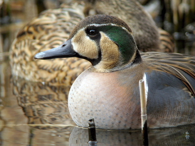 �ȥ⥨����5