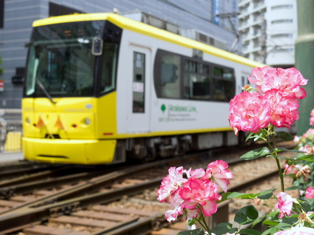 ���Ź�����16