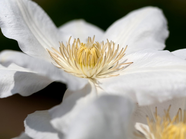 ���ڎώ���8