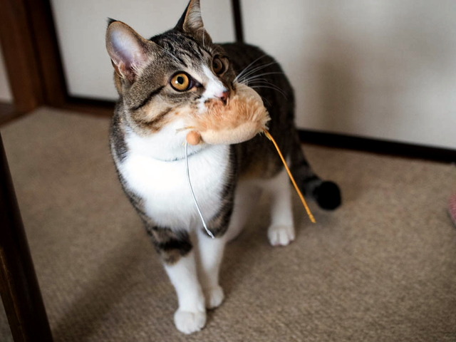 ���ͤ���04