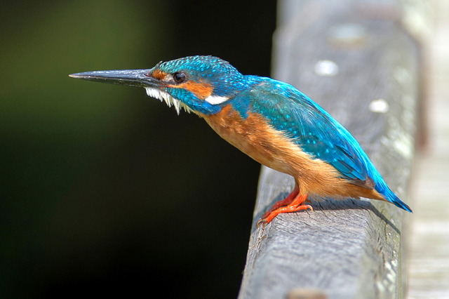 ���܎���23