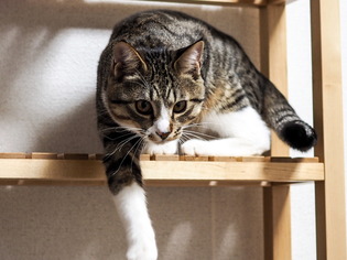 ���ͤ���6