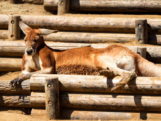 �������ݎ��ގَ�1