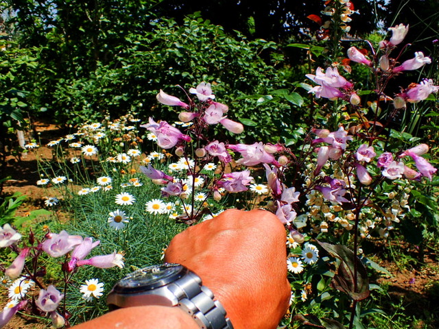 �͎ߎݎ��Îӎݎ��ގ����؎�1