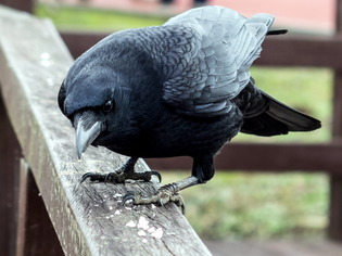 �ʎ��Ύގ����ގ׎�3