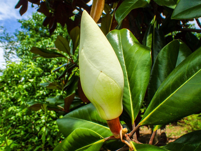 �ҥ᥿������ܥ�3