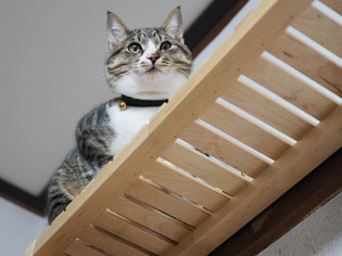 ���ͤ���9