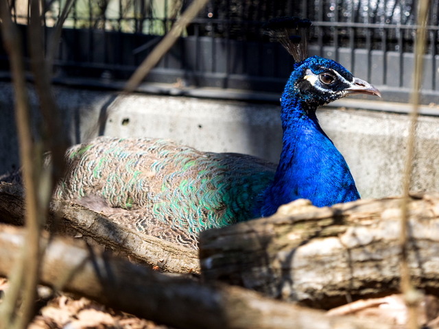 �����ގ���2