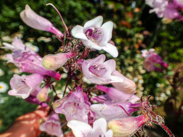 �͎ߎݎ��Îӎݎ��ގ����؎�2