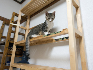 ���ͤ���06