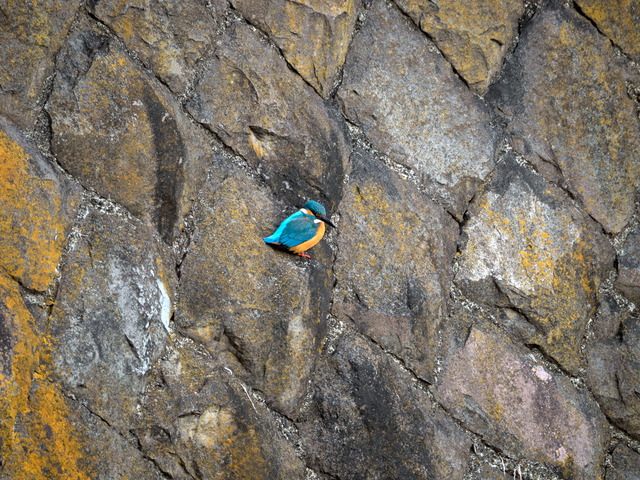 ���܎���5