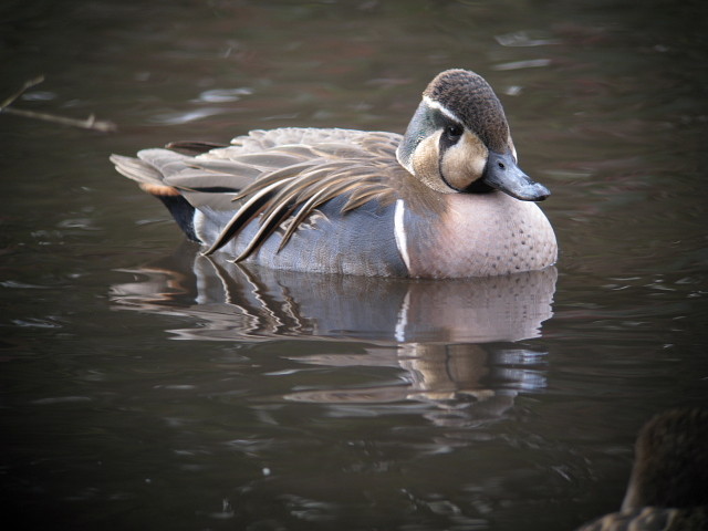 �ȥ⥨����14