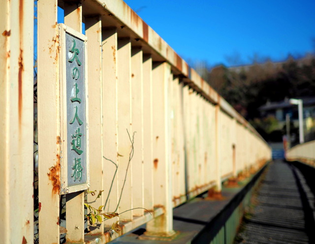 ��ξ��ƻ��