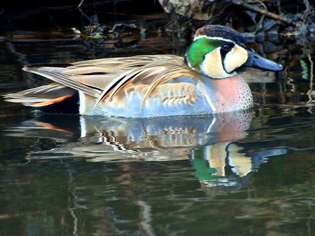 �ȥ⥨����1