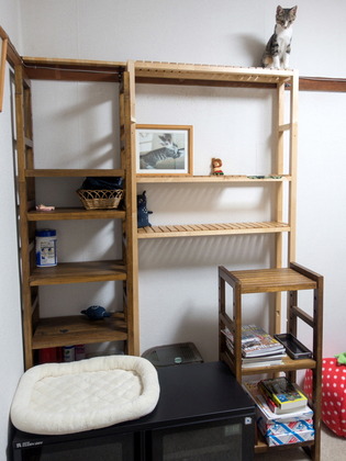 ���ͤ���05