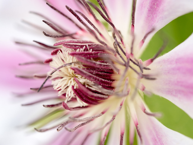 ���ڎώ���3